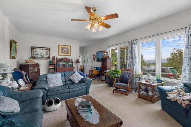 446 Gaut Rd, Dandridge, TN 37725