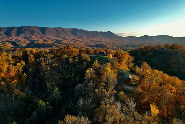 property view of mountains