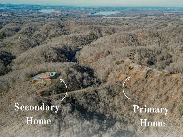 2386 Lower Rinehart Rd, Dandridge, TN 37725 - photo 10