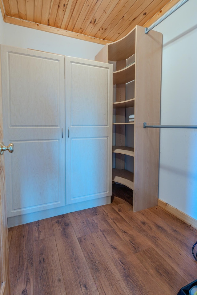 walk in closet featuring dark wood-type flooring