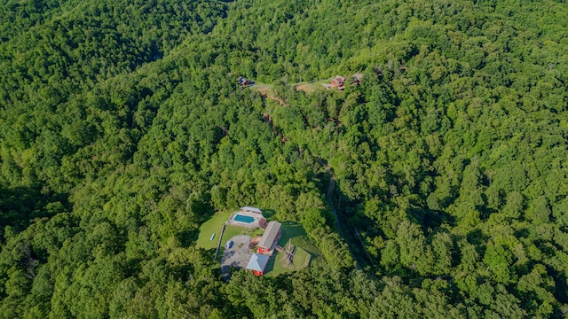 aerial overview of property's location with a heavily wooded area