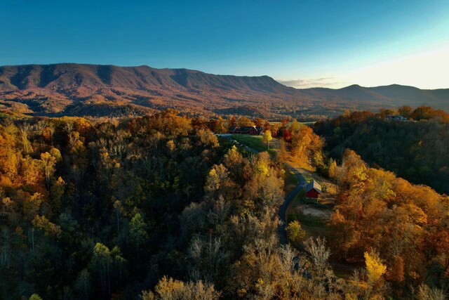 view of mountain background featuring a heavily wooded area