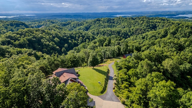 2386 Lower Rinehart Rd, Dandridge, TN 37725 - photo 103