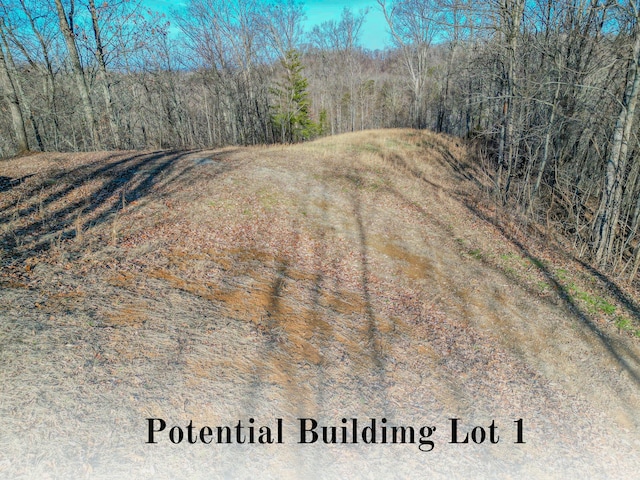 2386 Lower Rinehart Rd, Dandridge, TN 37725 - photo 65