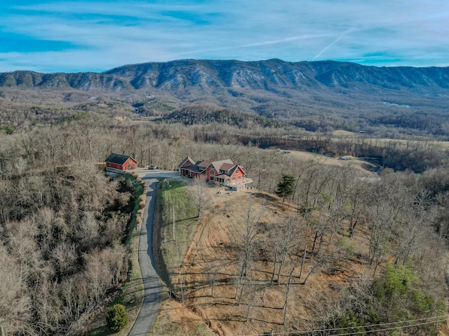 aerial view with a mountain view