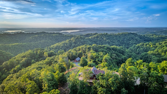 2386 Lower Rinehart Rd, Dandridge, TN 37725 - photo 121