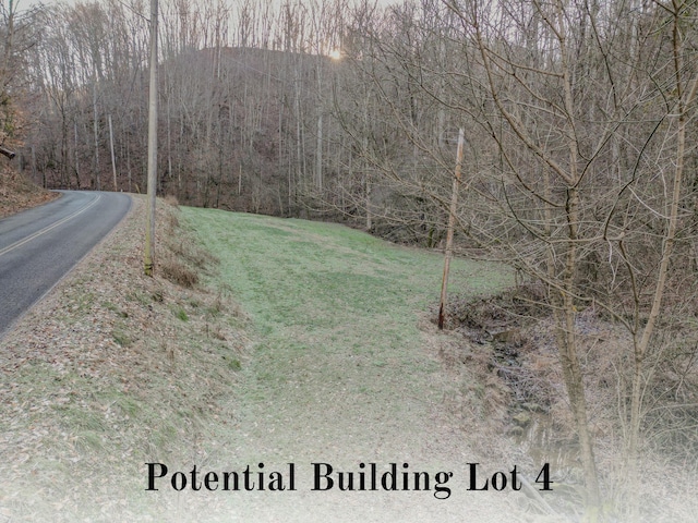 2386 Lower Rinehart Rd, Dandridge, TN 37725 - photo 68