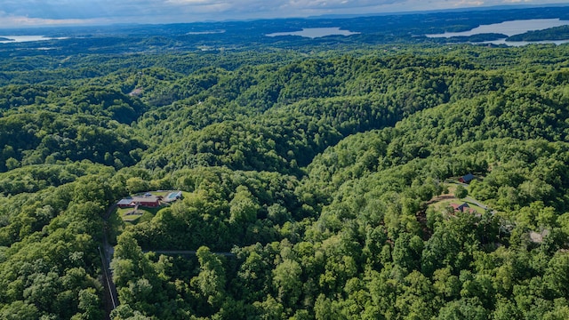 drone / aerial view of a forest