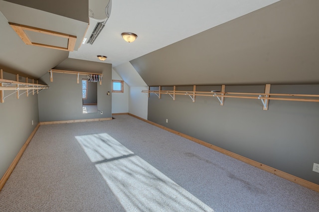 walk in closet featuring vaulted ceiling and carpet flooring