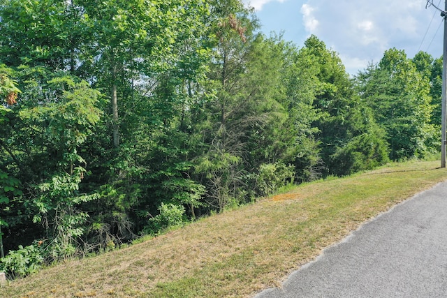 LOT713 Whistle Valley Rd, New Tazewell, TN 37825 - photo 6