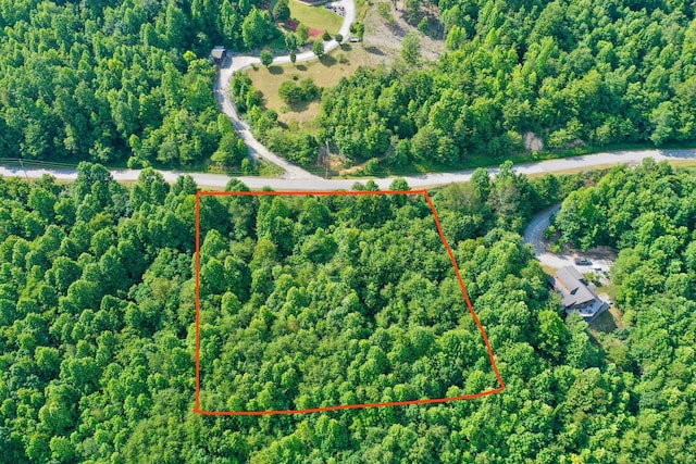 LOT713 Whistle Valley Rd, New Tazewell, TN 37825 - photo 2