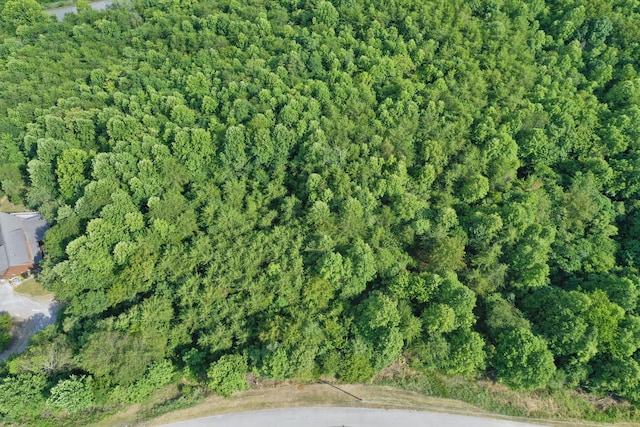 LOT713 Whistle Valley Rd, New Tazewell, TN 37825 - photo 3