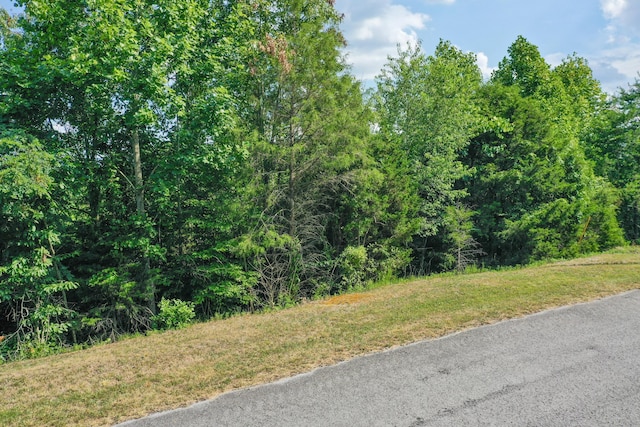 LOT713 Whistle Valley Rd, New Tazewell, TN 37825 - photo 7