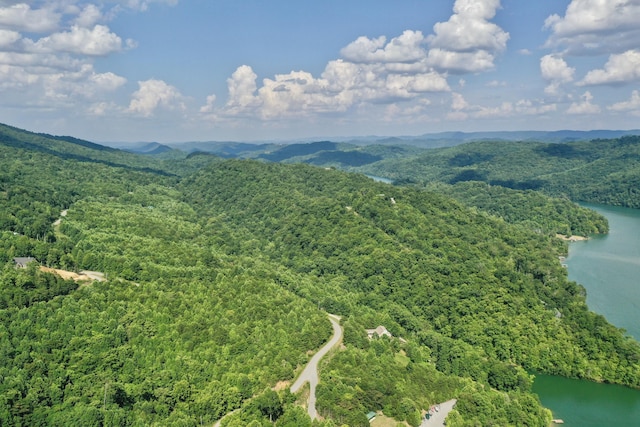LOT713 Whistle Valley Rd, New Tazewell, TN 37825 - photo 4