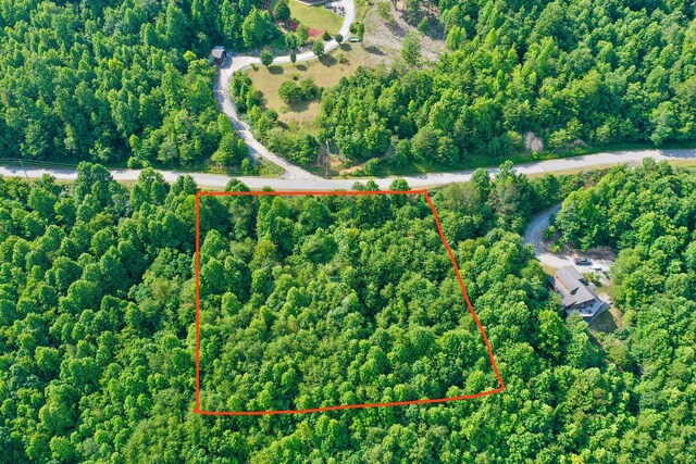 LOT713 Whistle Valley Rd, New Tazewell, TN 37825 - photo 10