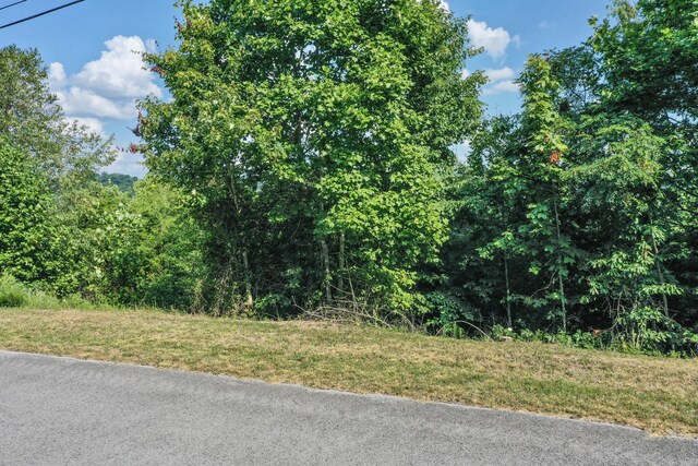 LOT713 Whistle Valley Rd, New Tazewell, TN 37825 - photo 8
