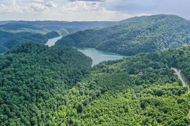 LOT713 Whistle Valley Rd, New Tazewell, TN 37825 - photo 5