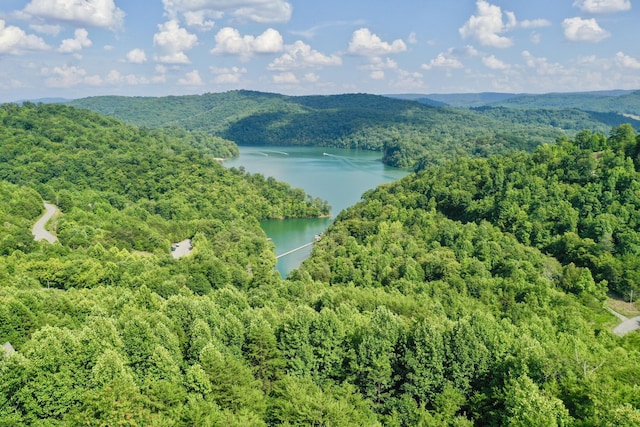 LOT713 Whistle Valley Rd, New Tazewell, TN 37825 - photo 1