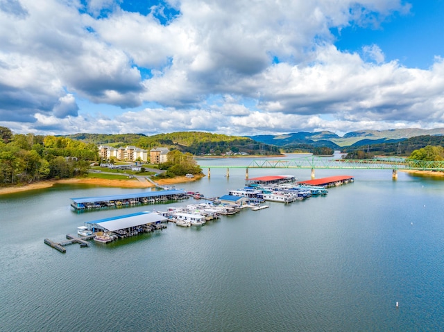 water view featuring a mountain view