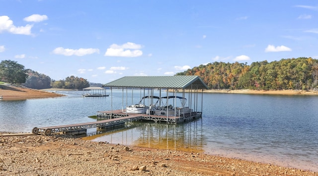 dock area with a water view