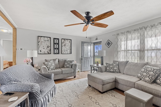 living room with ceiling fan and light wood-type flooring