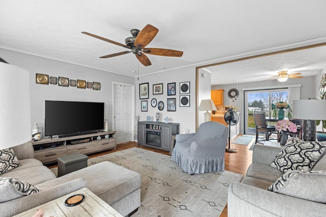 living room with ceiling fan, light wood-type flooring, ornamental molding, and a fireplace