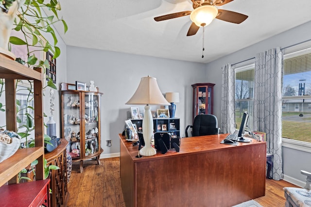 office space with dark hardwood / wood-style floors and ceiling fan