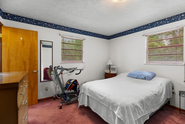 879 Dogwood Ln, Talbott, TN 37877 - carpeted bedroom with multiple windows, a textured ceiling, and baseboards