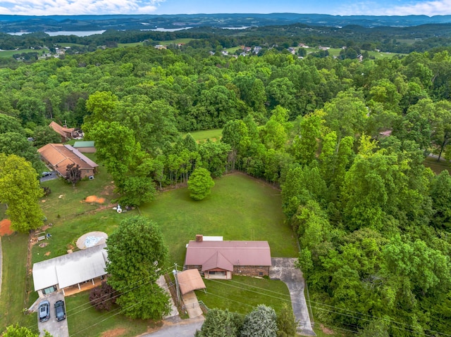 879 Dogwood Ln, Talbott, TN 37877 - aerial view of a forest and a mountain backdrop