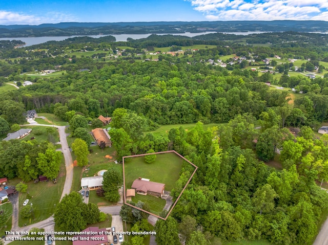 879 Dogwood Ln, Talbott, TN 37877 - aerial view of property's location featuring property parcel outlined, a heavily wooded area, and a water and mountain view