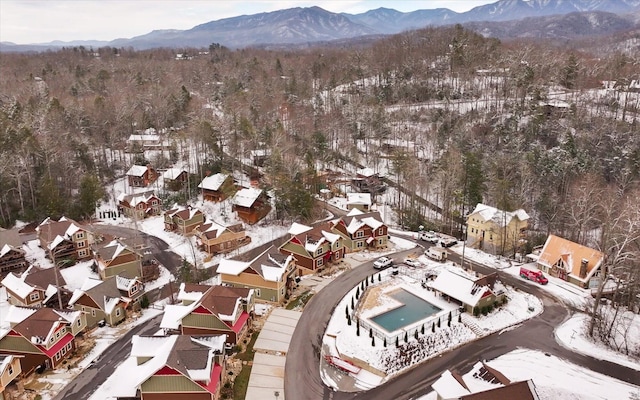 1104 Anastasia Way, Gatlinburg, TN 37738 - photo 46