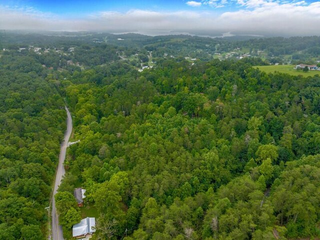 3107 Mutton Hollow Rd, Kodak, TN 37764