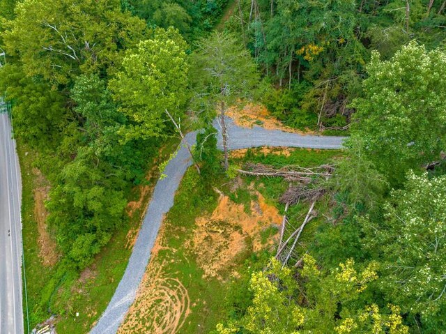 3107 Mutton Hollow Rd, Kodak, TN 37764