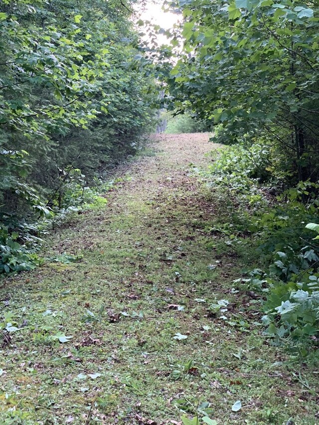 3107 Mutton Hollow Rd, Kodak, TN 37764