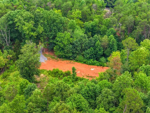 3107 Mutton Hollow Rd, Kodak, TN 37764