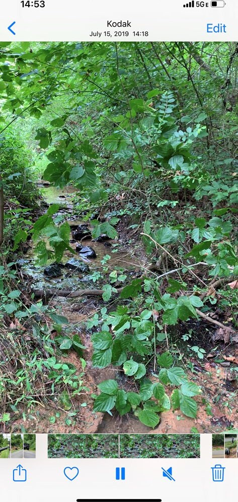 3107 Mutton Hollow Rd, Kodak, TN 37764