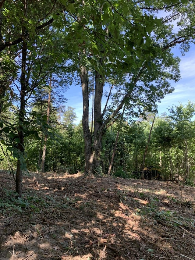 3107 Mutton Hollow Rd, Kodak, TN 37764
