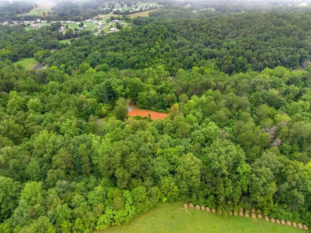 3107 Mutton Hollow Rd, Kodak, TN 37764