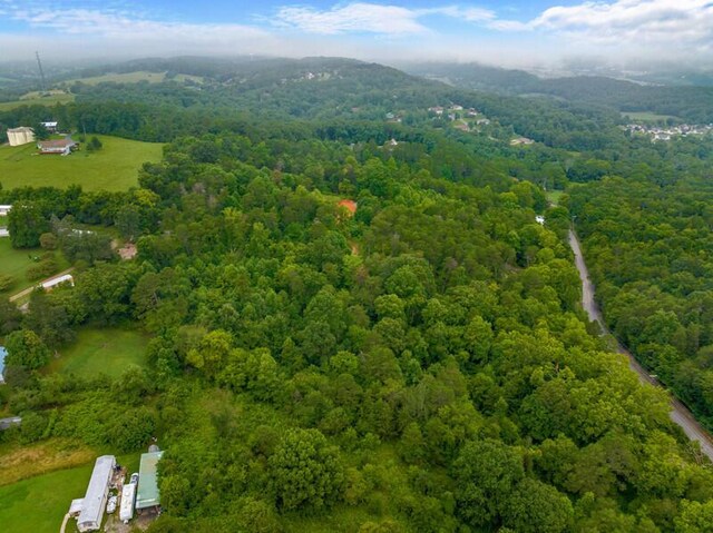 3107 Mutton Hollow Rd, Kodak, TN 37764
