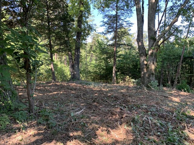 3107 Mutton Hollow Rd, Kodak, TN 37764