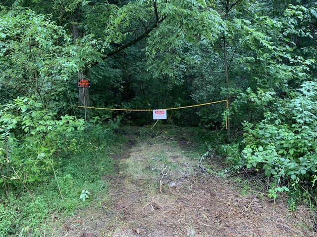 3107 Mutton Hollow Rd, Kodak, TN 37764