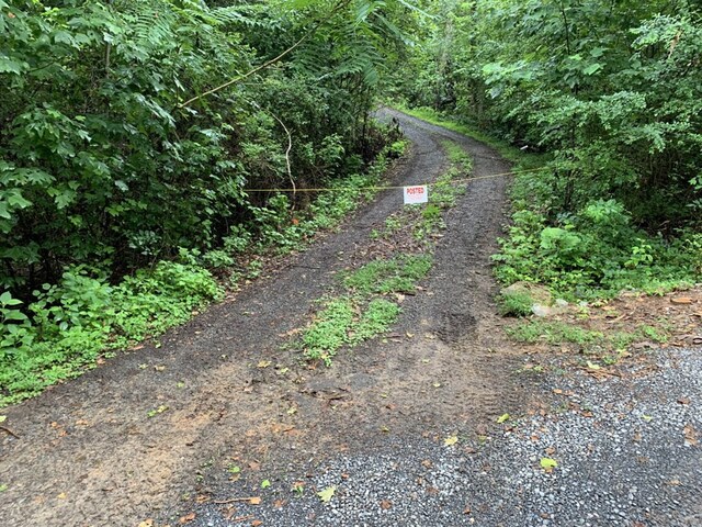 3107 Mutton Hollow Rd, Kodak, TN 37764