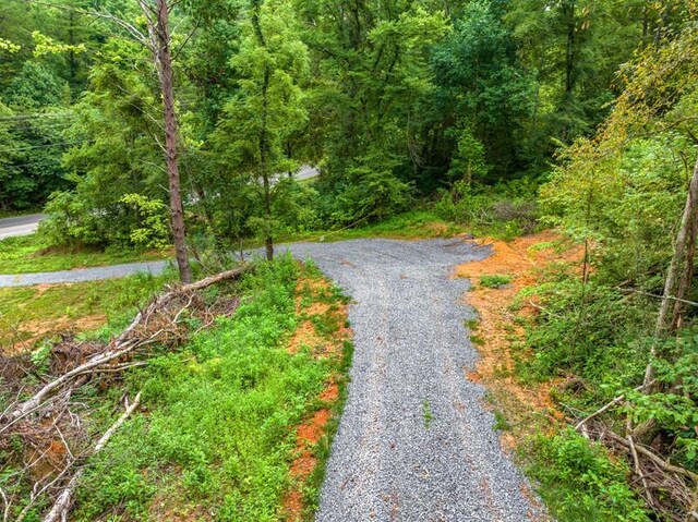 3107 Mutton Hollow Rd, Kodak, TN 37764