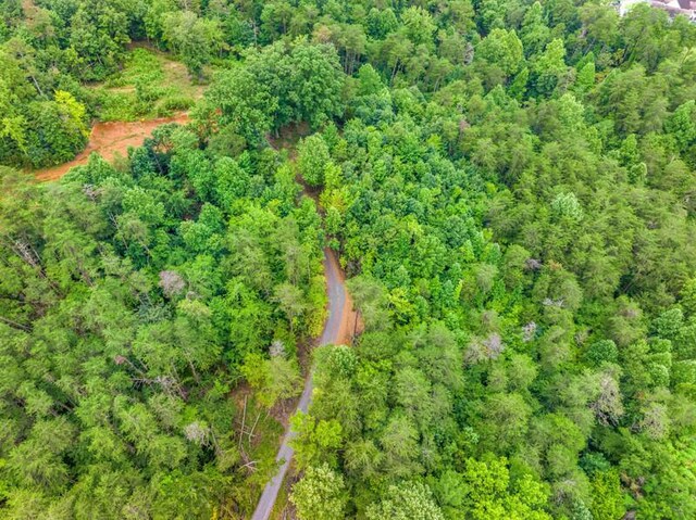 3107 Mutton Hollow Rd, Kodak, TN 37764