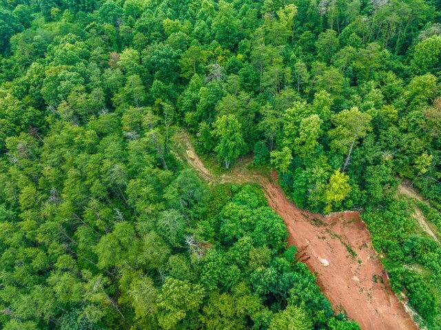 3107 Mutton Hollow Rd, Kodak, TN 37764