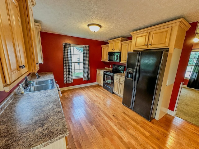 1266 Liberty Hall Dr, Morristown, TN 37813 - photo 9