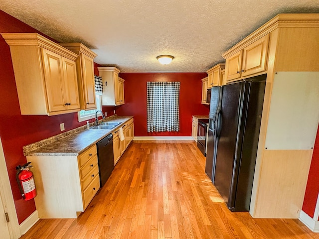 1266 Liberty Hall Dr, Morristown, TN 37813 - photo 8