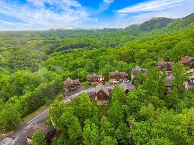 bird's eye view featuring a mountain view and a wooded view