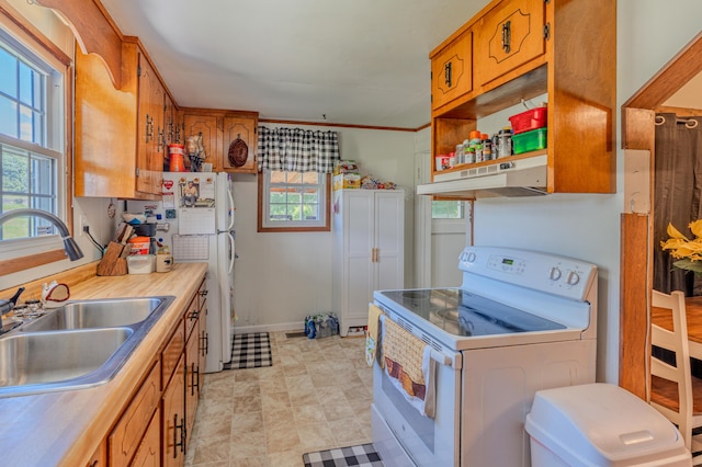625 Trentham Hollow Rd, Parrottsville, TN 37843 - kitchen featuring white range with electric stovetop, under cabinet range hood, brown cabinetry, light countertops, and open shelves