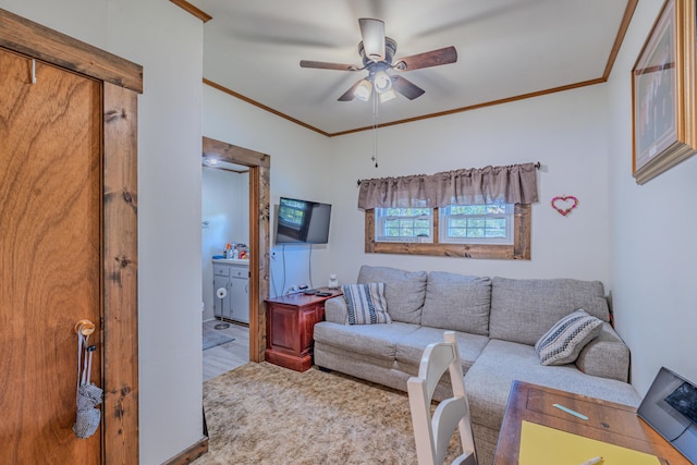 625 Trentham Hollow Rd, Parrottsville, TN 37843 - living room with crown molding and a ceiling fan